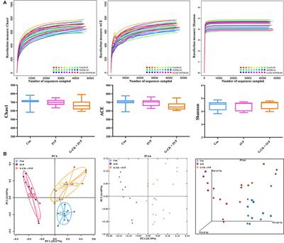 Gut Microbiota Modulates the Protective Role of Ginsenoside Compound K Against Sodium Valproate-Induced Hepatotoxicity in Rat